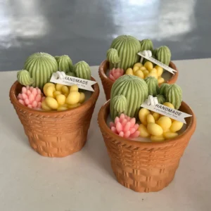 Succulent Cactus Pot Scented Candle